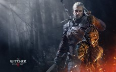 the_witcher_wild_hunt